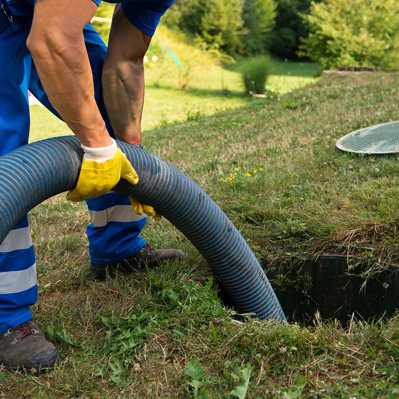 Technicien utilisant un gros tuyau d'aspiration bleu pour la vidange d'une fosse septique dans un jardin.